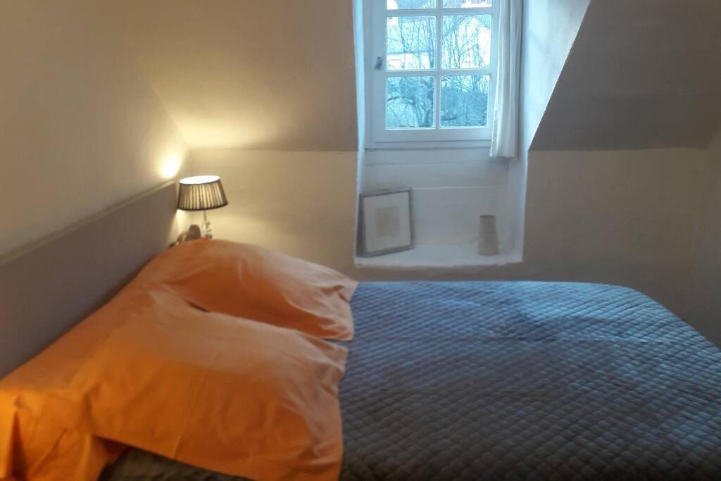 Magnifique Maison De Maitre Du 18E Avec Jardin Luz-Saint-Sauveur Esterno foto
