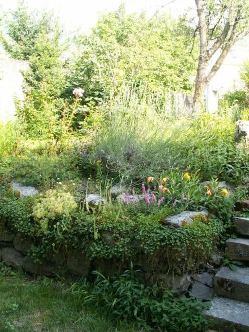 Magnifique Maison De Maitre Du 18E Avec Jardin Luz-Saint-Sauveur Esterno foto